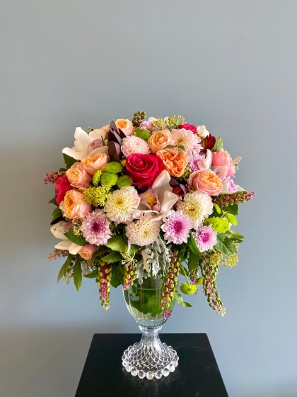 Cielo Mix Arrangemet