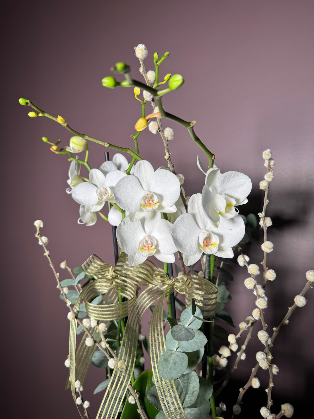 White Orchids Arrangement